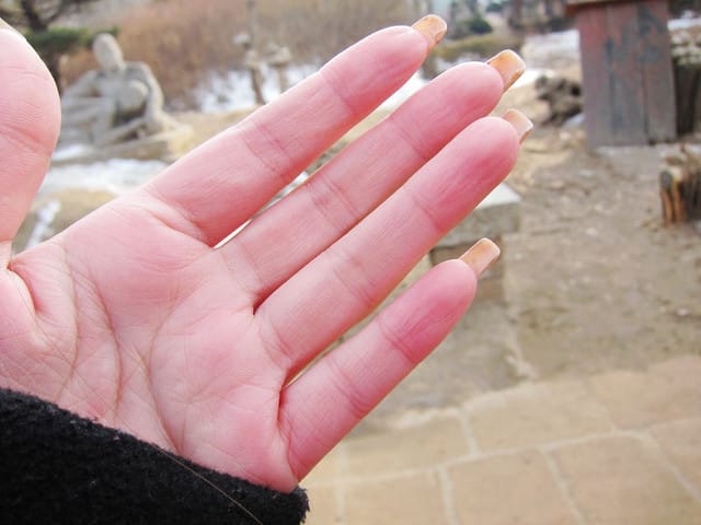 110213 ♥ 韓國 Day2 南怡島．春川明洞．大埔漁港