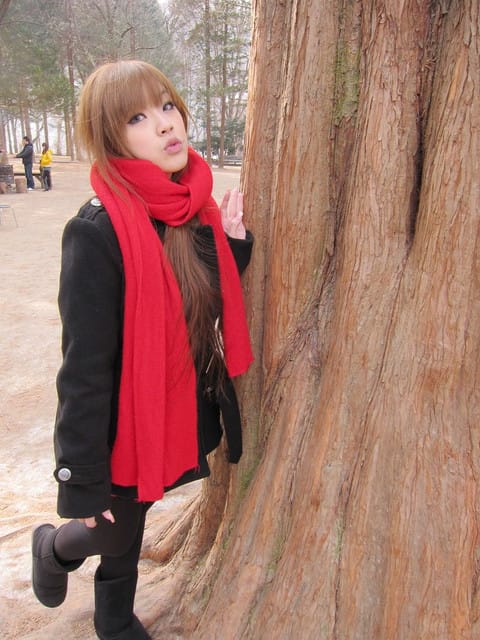 110213 ♥ 韓國 Day2 南怡島．春川明洞．大埔漁港