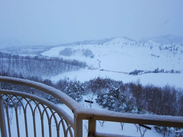 110214 ♥ 韓國 Day3 浪漫滑雪．水世界．汗蒸幕