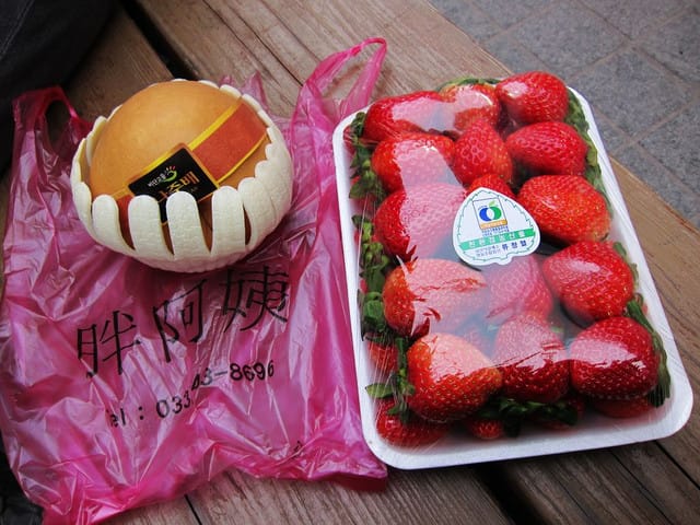 110213 ♥ 韓國 Day2 南怡島．春川明洞．大埔漁港