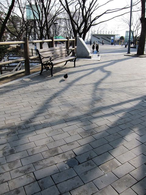 110213 ♥ 韓國 Day2 韓屋村.N首爾塔.南山公園 - 第44張圖 110213 ♥ 韓國 Day2 韓屋村.N首爾塔.南山公園