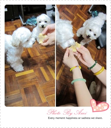 110530 ♥ 愛吃鬼試吃日記‧元樂葫蘆年輪