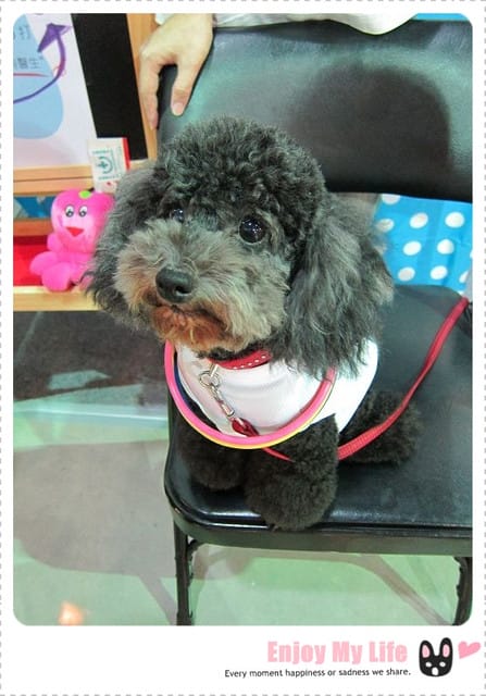110726 ♥ 愛吃鬼貪吃筆記‧湄南小鎮吃好飽啊！