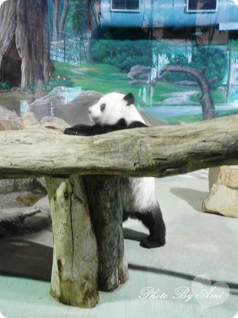 111005 ♥ 兩個人的童趣浪漫小約會‧So sweet！