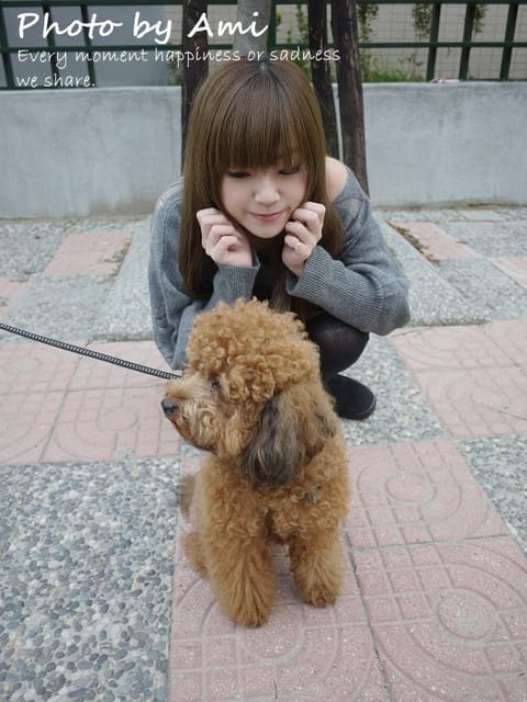 111207 ♥ 快速時尚的城市流行風貌‧平價超質感Mesge！