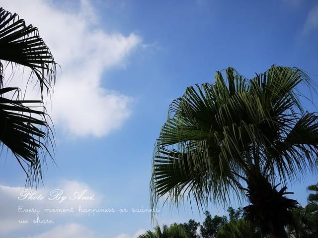 120212 ♥ 放空發福花蓮遊 ♫ Day 2