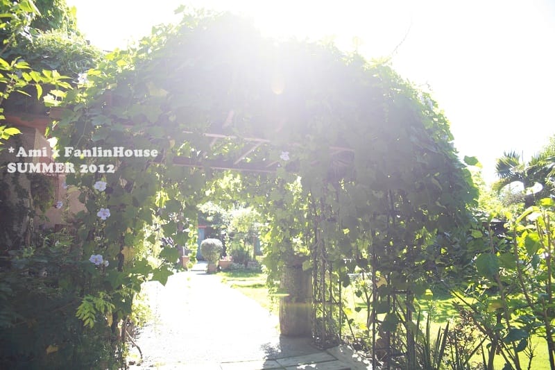 120706 ♥ 跟花草一起享受寧靜放空輕旅行‧自然手感民宿”汎水淩山” ♫
