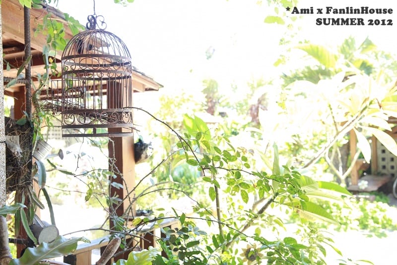120706 ♥ 跟花草一起享受寧靜放空輕旅行‧自然手感民宿”汎水淩山” ♫