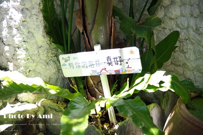 120801 ♥ 放空心靈享受寧靜旅程‧我們在汎水淩山第二夜住的觀星樓 ♫