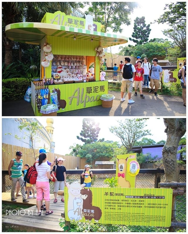 120802 ♥ 盛夏就是要盡情玩樂‧六福村遊樂園+水樂園一日玩透透 ♫