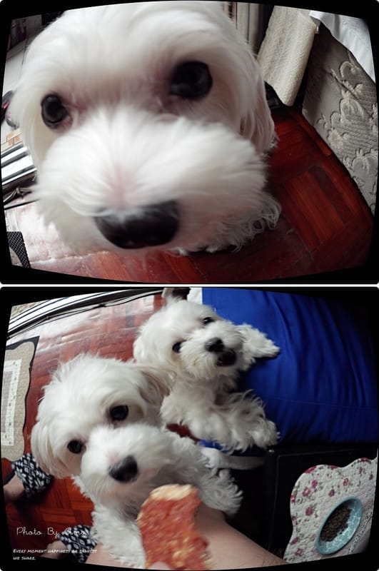 121013 ♥ 翻轉自拍新夥伴‧三星Smart Camera MV900F ♫