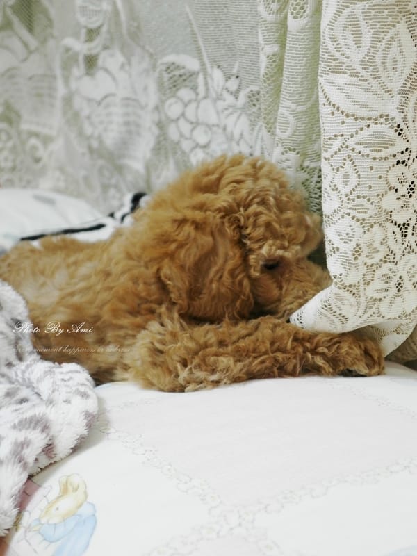 130121 ♥ 就愛宅家裡‧Sweet Home必備暖暖小物+睡衣小特輯 ♫ - 第26張圖 130121 ♥ 就愛宅家裡‧Sweet Home必備暖暖小物+睡衣小特輯 ♫