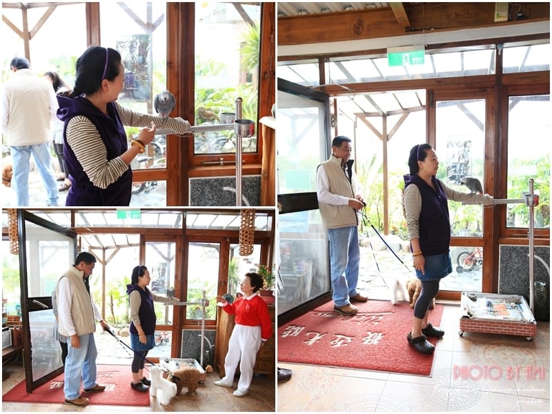 130609 ♥ 三天兩夜小旅行。宜蘭真水蘭陽白鷺鷥 ♫