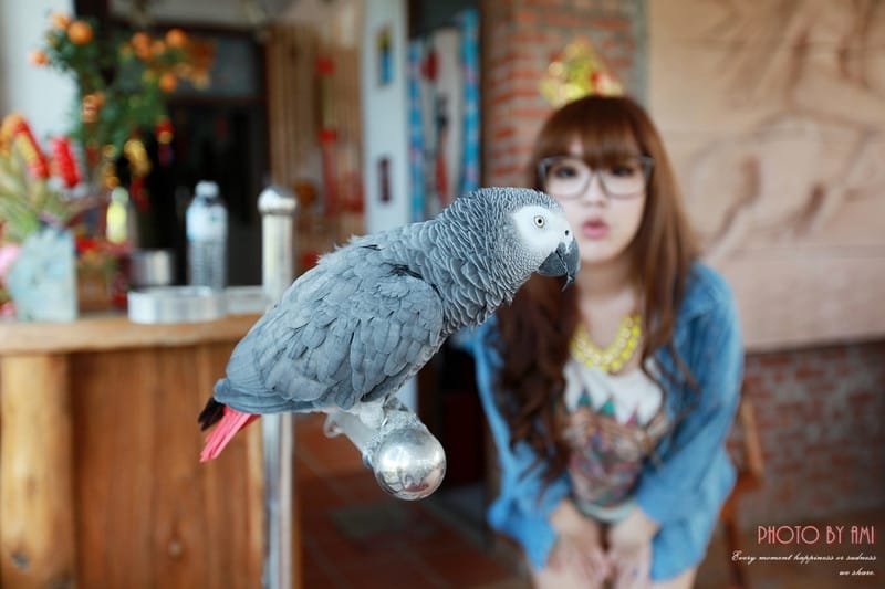 130609 ♥ 三天兩夜小旅行。宜蘭真水蘭陽白鷺鷥 ♫