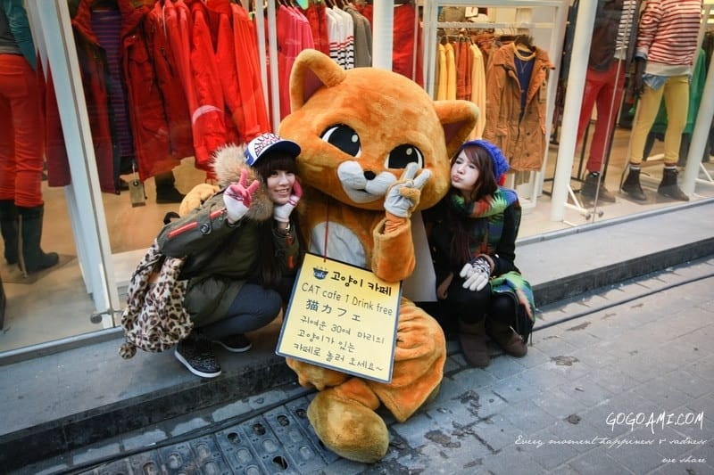 140205 ♥ 七天六夜首爾自由行Day5。N首爾塔情人鎖→明洞揶夫部隊鍋→橋村炸雞 ♫ - 第28張圖 IMG_1131