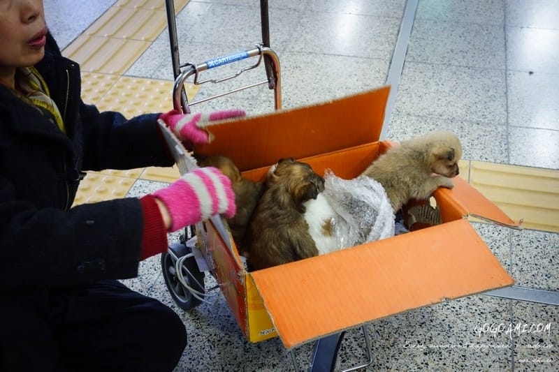 140205 ♥ 七天六夜首爾自由行Day5。N首爾塔情人鎖→明洞揶夫部隊鍋→橋村炸雞 ♫ - 第56張圖 DSC00586