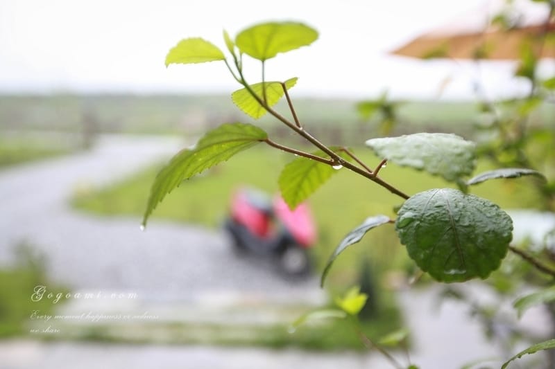 140504 ♥ 花蓮。超夢幻手作風格花境鄉村民宿(上) ♫ - 第12張圖 IMG_0487