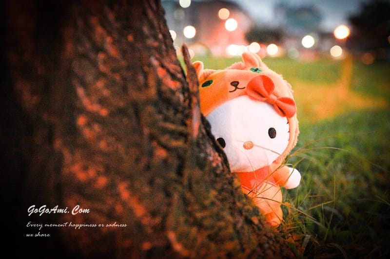 140605 ♥ Kitty迷又要瘋狂啦!麥當勞xHello Kitty公仔蒐集樂開跑 ♫ - 第63張圖 IMG_7701