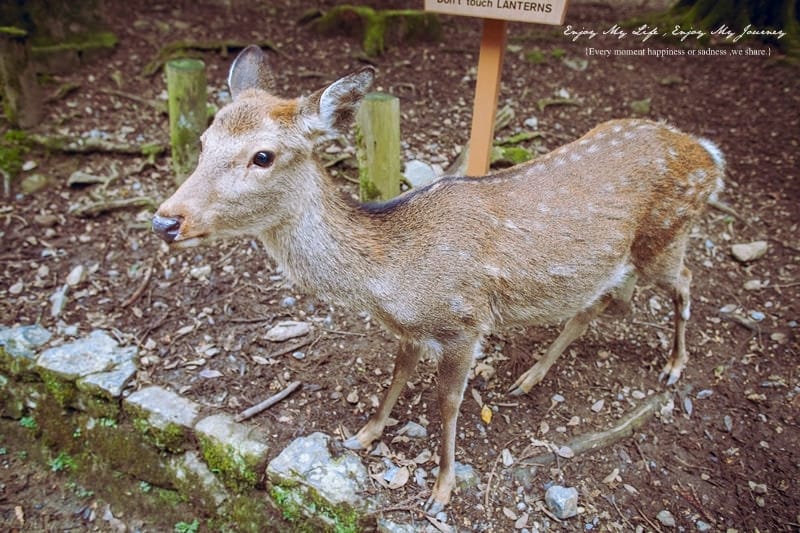 IMG_7857