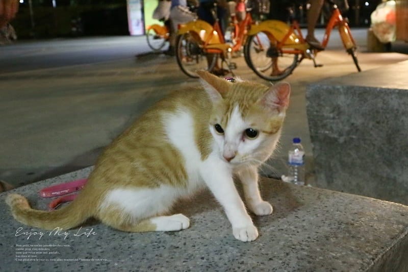 3C ♥ 我和拉拉熊的夏日小旅行 x Canon EOS M10 ♫ - 第43張圖 IMG_0321
