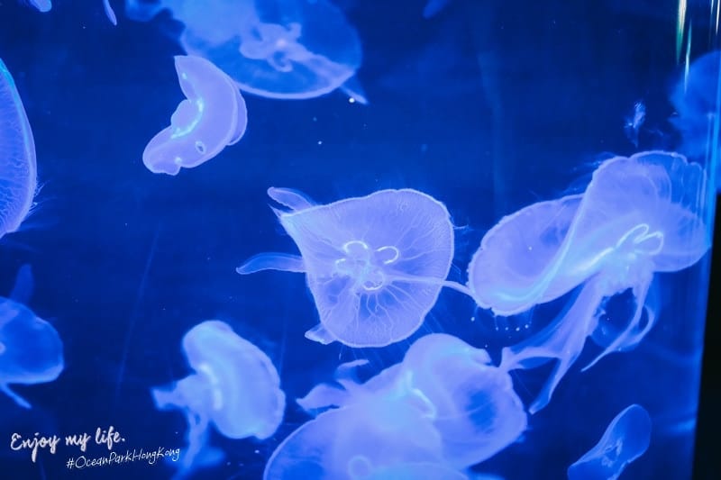 DSCF3983