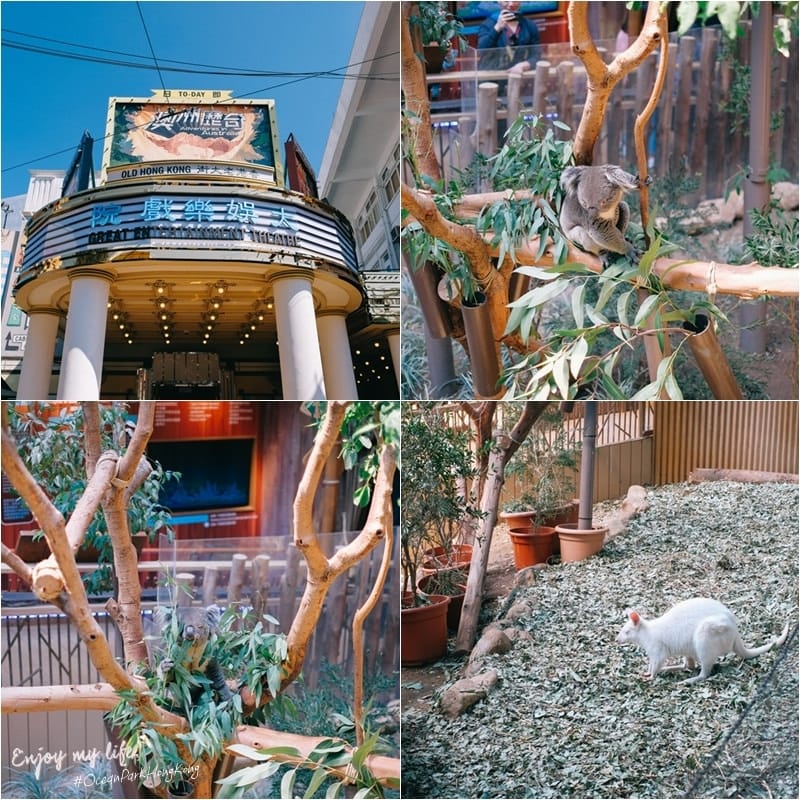 樹雄